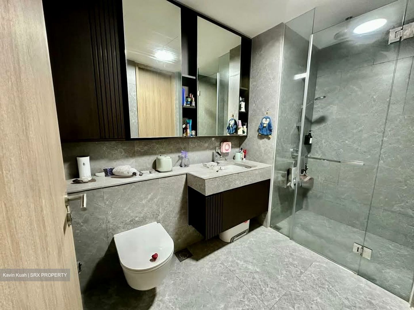 KI Residences at Brookvale (D21), Condominium #552192141
